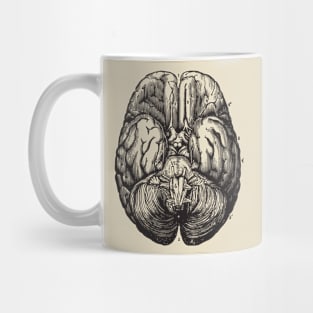 Brain anatomy 2 Mug